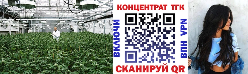 ТГК Wax  Всеволожск 