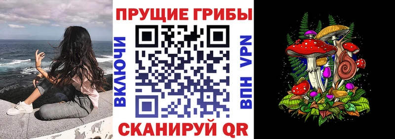 mega сайт  Всеволожск  Галлюциногенные грибы ЛСД  где продают  